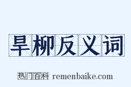 旱柳反义词是什么意思的图片